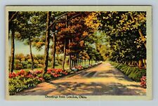 London OH-Ohio, Scenic Greetings, Path In A Forest, Vintage Postcard picture
