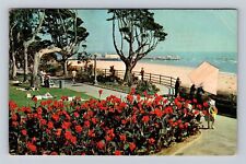 Santa Monica CA-California, Palisades Park, Ocean Avenue, Vintage Postcard picture