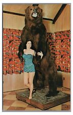 Lady Short Skirt Taxidermy Grizzly Bear HARRISBURG PA Postcard picture