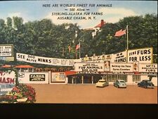 Vintage Postcard 1947 Sterling-Alaska Fur Farms Ausable Chasm New York picture