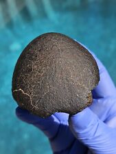 Meteorite**NWA Unc.; Flight Oriented Individual**346.40 grams, W/Metal Blob picture