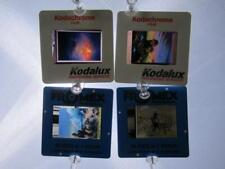 Lot 4 Vtg Kodachrome FroMex 35mm Slides Jim Warren's Art 1980s Ocean Kids Lions picture