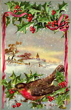 Postcard Illustrated Robin Merry Christmas Greetings Tuck's Holly 1908 picture