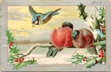 c1909 Best Christmas Wishes Plump Birds Flying Blue Jay Snow Scene Postcard 836b picture