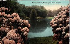 Rhodendron Washington State Flower, c1912 Vintage Souvenir Postcard picture