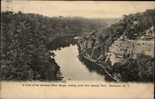 Genesee River Gorge from Seneca Park Rochester New York ~ 1917 Avon NY cancel picture