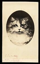 unusual of a cat signed and dated 1860s CDV Photo picture