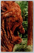 California Old Man Burl Redwood Trees Forest Historical Zans Krome Kard Postcard picture