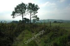 Photo 6x4 Trees and a track 2 Kingcoed A pair of silhouetted trees either c2010 picture