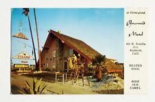 Vintage Pyramid Motel opposite DISNEYLAND Anaheim CA.  Foto-Color Postcard picture