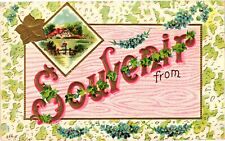 Vintage Postcard- Souvenier from picture