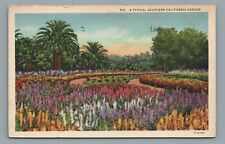 A Typical Southern California Garden Flowers Trees Vintage Postcard Posted 1936 picture