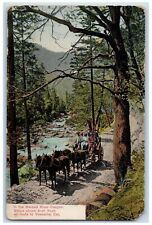 1910 Merced River Canyon Stage Arch Rock Horse Yosemite California CA Postcard picture