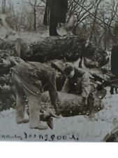 Antique RPPC Postcard Ephemera Early 1900s  5 Guys Loading Deer Onto Horse Sled picture