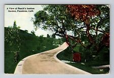 Pasadena CA-California, A View Of Busch's Sunken Garden, Vintage c1914 Postcard picture