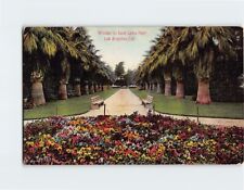 Postcard Winter in East Lake Park Los Angeles California USA North America picture
