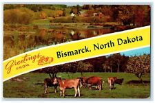 1960 Greetings From Banner Cow Herd Field Bismarck North Dakota Vintage Postcard picture
