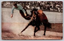 Western~Old Steamboat Most Famous Outlaw~Horse Rodeo Scene~Vintage Postcard picture