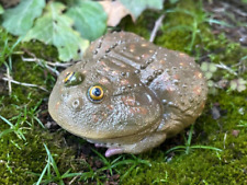 【In-Stock】 Animal Heavenly Body Lepidobatrachus Dwarf Budgett Frog Statue picture