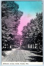 Tomah Wisconsin Postcard Kilbourn Avenue North Street Scene Trees 1910 Antique picture