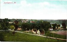 c1907 Town View Of Norridgewock Maine ME Vintage Postcard Undivided Back Unpost picture