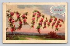 Antique Postcard Language of Flowers Be Mine Clover Vintage 1909 Cancel picture