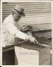 1931 Press Photo John Stofka, Secretary, Cuyahoga County Beekeepers Association picture