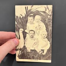 5 of a Kind Kids Stork Funny Vintage Postcard 1909 Vintage Postcard picture