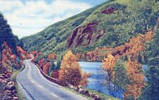 Upper Cascade Lake Adirondack Mountains New York Linen UNP Postcard picture