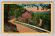 Roanoke VA-Virginia, Loop On Scenic Road Up Mill Mountain, Vintage Postcard picture