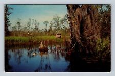Waycross GA-Georgia, Skull Lake, Okefenokee Swamp Park, Vintage Postcard picture
