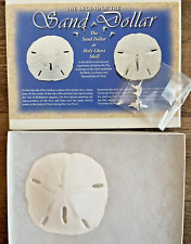 Legend of the Sand Dollar Gift Box With Genuine Sand Dollar & 