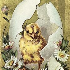 Vintage Easter Joy Postcard Embossed Baby Chicken Hatching Flowers Posted 1910 picture