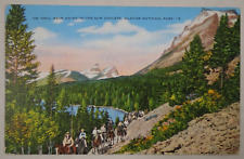 c1930s-40s Linen Postcard Horses On Trail Glacier National Park MT Unposted USA picture