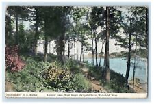 1909 Wakefield MA, Lover's Lane West Shore Crystal Lake Posted Antique Postcard picture