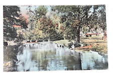 Oakwood Park Dam Canoe Camp Mansfield PA Antique Hand Colored Postcard picture