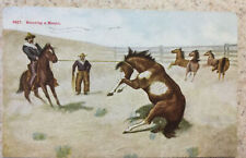 Antique Cowboy Postcard 1912 Cowboys w Horses ~ Securing a Mount picture