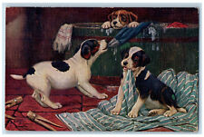 c1910 Three Puppies Biting Clothes Bathing London Oilfacsim Tuck Art Postcard picture
