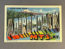 New York NY Greetings From Adirondack Mountains, Large Letter, ca 1940 picture
