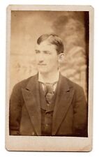 ANTIQUE CDV CIRCA 1870s HANDSOME YOUNG MAN IN SUIT DETAILED BACKDROP UNMARKED picture