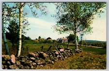 c1960s Greetings Weld Maine Scene Rock Fence Vintage Postcard picture
