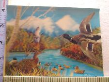 Postcard 3-Dimensional Print Ducks in Tranquil Waters picture