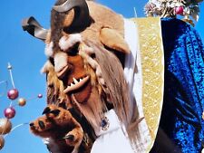 i4 Photograph 5X7 Close Up Disneyland The Beast Character Close Up Parade picture