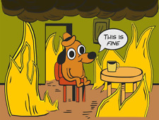 This is fine Fire MEME Dog High Quality Metal 3 x 4 Fridge  9453 picture