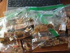California Lottery Lapel Pins Lot of 150+ picture