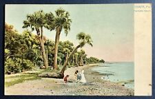 Tuck Postcard Tampa Florida Palmetto Beach Palm Trees Family on Shore c1910 picture