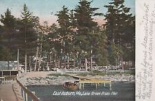 East Auburn Maine Lake Grove from Pier Antique Postcard Posted 1906 picture