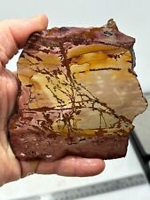 Dead Camel Dendritic Jasper slab Cabbing Lapidary Collecting Combo Ship Avail picture