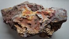 WRG- Lysite Agate 1361 grams Wyoming Rough Old Stock Botryoidal Druzy Specimen picture