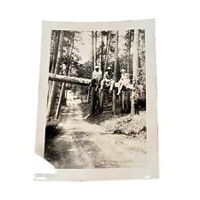 Vintage 1940s B&W Photo Young Friends Sit on Fallen Tree Over A Road Lady Men picture